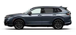 North Corpus Christi Honda in Corpus Christi TX